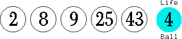 02 08 09 25 43 (04)